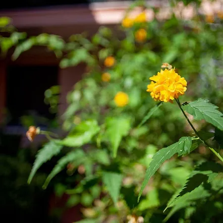 Guesthost - Duplex In Pieno Centro Феррара