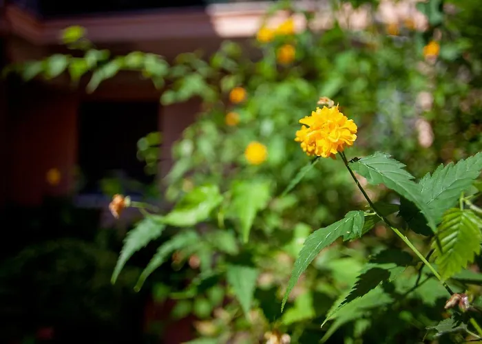 Guesthost - Duplex In Pieno Centro פררה